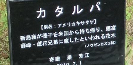 2018　１１月カタルパ会の報告